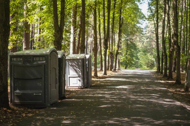Best Sanitation services for porta potties  in Lemon Hill, CA